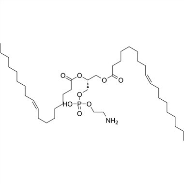 No. CAS DOPE:4004-05-1